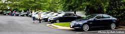 A Pride of Jaguars - Fair Lakes-img_0370.jpg