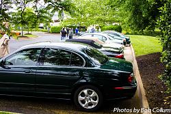A Pride of Jaguars - Fair Lakes-img_0360.jpg