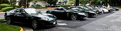 A Pride of Jaguars - Fair Lakes-img_0395.jpg