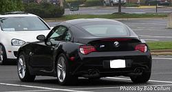 A Pride of Jaguars - Fair Lakes-img_0298.jpg