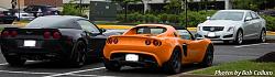 A Pride of Jaguars - Fair Lakes-img_0310.jpg