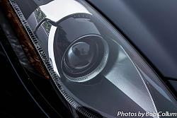A Pride of Jaguars - Fair Lakes-img_0391.jpg