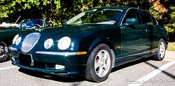 Northern VA - A Pride of Jaguars II, Fair Lakes-img_5505.jpg
