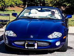 Northern VA - A Pride of Jaguars II, Fair Lakes-img_5524.jpg