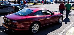 Northern VA - A Pride of Jaguars II, Fair Lakes-img_5582.jpg