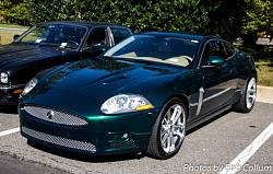 Northern VA - A Pride of Jaguars II, Fair Lakes-img_5598.jpg
