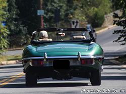Weekday Drive: Upperville, VA, 10/04/13-img_5981.jpg
