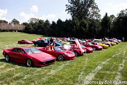 Lotus Party-img_8211.jpg