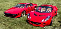 Lotus Party-img_8210.jpg