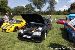 Lotus Party-img_8239.jpg