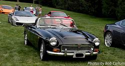 Lotus Party-img_8313.jpg