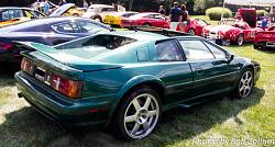 Lotus Party-img_8273.jpg