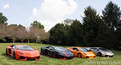Lotus Party-img_8280.jpg