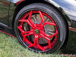 Lotus Party-img_8300.jpg