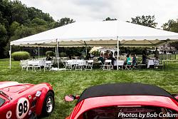 Lotus Party-img_8329.jpg