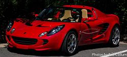 Lotus Party-img_4069.jpg