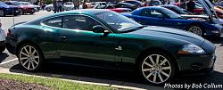 Lotus Party-img_4071.jpg