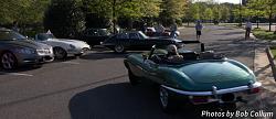 A Pride of Jaguars - Sunday, Sept. 28th, 2014-img_3190.jpg