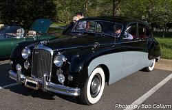 A Pride of Jaguars - Sunday, Sept. 28th, 2014-img_3191.jpg