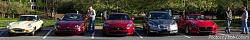 A Pride of Jaguars - Sunday, Sept. 28th, 2014-img_3184.jpg