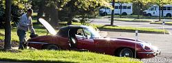 A Pride of Jaguars - Sunday, Sept. 28th, 2014-img_3174.jpg