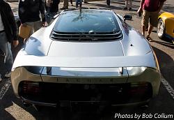 A Pride of Jaguars - Sunday, Sept. 28th, 2014-img_3209.jpg