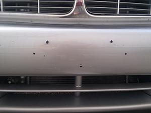 Front License Plate, Arghhh!-holy-bumper-cover.jpg