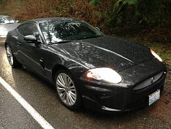 Hey Seattle, lets meet!-image-1771777826.jpg