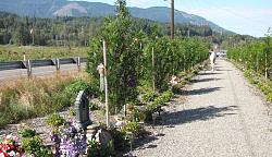 The official "Is It Summer Already?" Drive: July 30-28395463420_bba86967eb_o.jpg