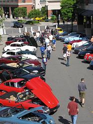 Exotics at Redmond Town Center-img_2702.jpg