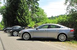 Exotics at Redmond Town Center-img_2840.jpg
