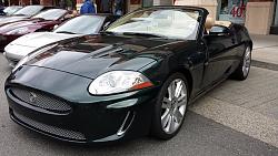 Exotics at Redmond Town Center-20140524_104035.jpg