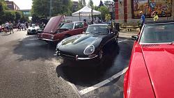 Exotics at Redmond Town Center-photo-3-2.jpg