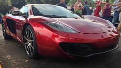 Exotics at Redmond Town Center-photo-2-4.jpg