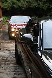 2014 Leavenworth Drive-_igp4830.jpg