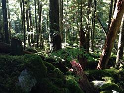 2014 Leavenworth Drive-image-3015758120.jpg