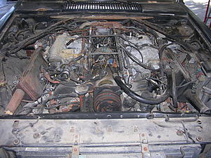 Arkansas-001-2-.jpg