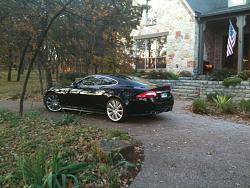 More Jaguars in Texas-photo.jpg