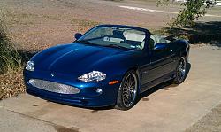 More Jaguars in Texas-xk8.jpg