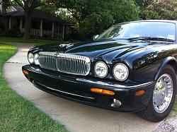 More Jaguars in Texas-img_1410.jpg