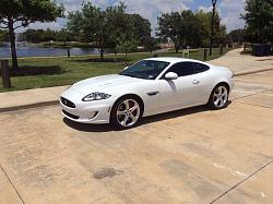 New member Houston area-image.jpg