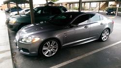 The New Guy!-imag0637.jpg