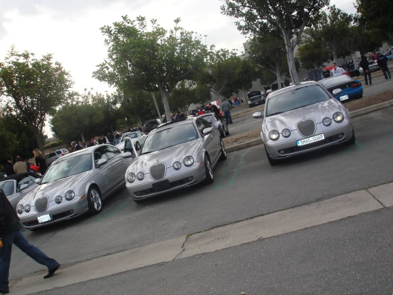 Name:  DSC02175.jpg
Views: 130
Size:  127.2 KB