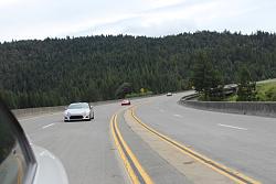 Redwoods Road Trip 2014-img_8237.jpg