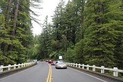 Redwoods Road Trip 2014-img_8310.jpg