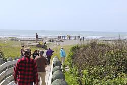 Redwoods Road Trip 2014-img_8550.jpg