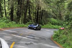 Redwoods Road Trip 2014-img_8617.jpg