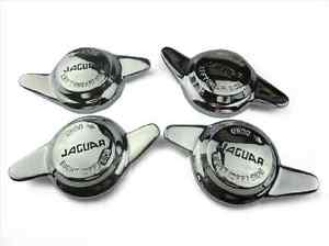 Name:  Jaguar 2.jpg
Views: 148
Size:  6.1 KB