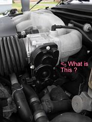 Engine Hum-dscf3011.jpg