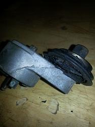 Newbie with X-Type 3.0 Belt Problem-10885156_10152557837686453_2087038754931210885_n.jpg